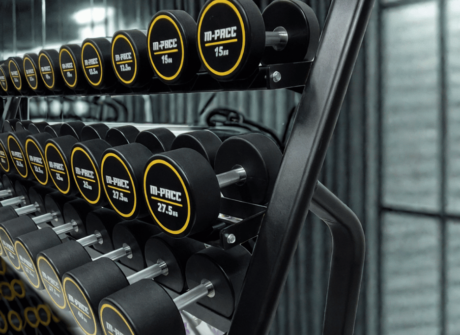 Pro Commercial Urethane Dumbbells